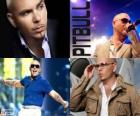 Pitbull (Armando Christian Perez), είναι μια μουσική παραγωγός της Κούβας καθόδου