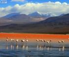 Laguna Colorada, Βολιβία