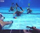 Underwater hockey