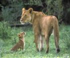 Λιονταρίνα με cub της