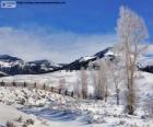 Lamar Valley, εθνικό πάρκο Yellowstone, Wyoming, Ηνωμένες Πολιτείες