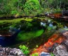 Τσάο Cristales, Κολομβία