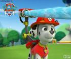 Μάρσαλ, Paw Patrol