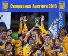 Tigres UANL, Apertura 2016