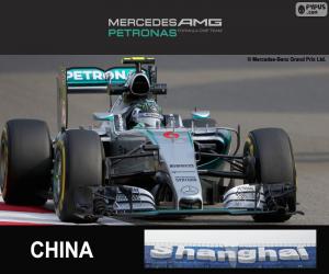 Puzzle Rosberg Γ.Π κινεζική 2015