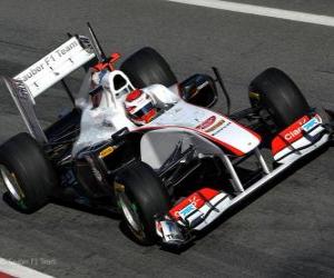 Puzzle Sauber C30 - 2011 -