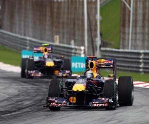 Puzzle Sebastian Vettel, Webber Mark - Red Bull - Sepang 2010