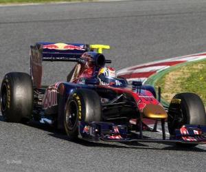 Puzzle Toro Rosso STR6 - 2011 -