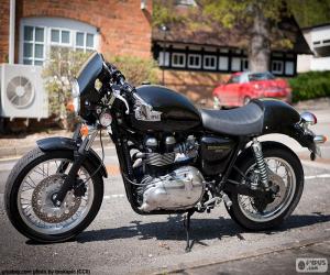 Puzzle Triumph Thruxton 900, 2004