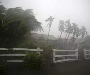 Puzzle Tropical storm