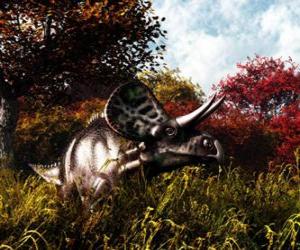 Puzzle Zuniceratops ήταν περίπου 3 έως 3,5 μέτρα μήκος και 1 μέτρο ύψος.