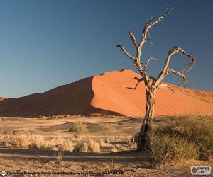 Puzzle Έρημο Namib, Ναμίμπια