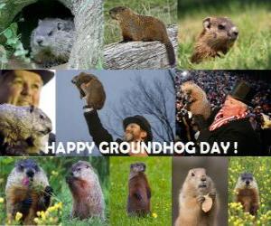 Puzzle Η ημέρα Groundhog