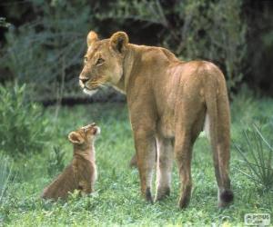 Puzzle Λιονταρίνα με cub της