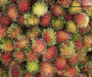 Puzzle Φρούτα του Rambutan